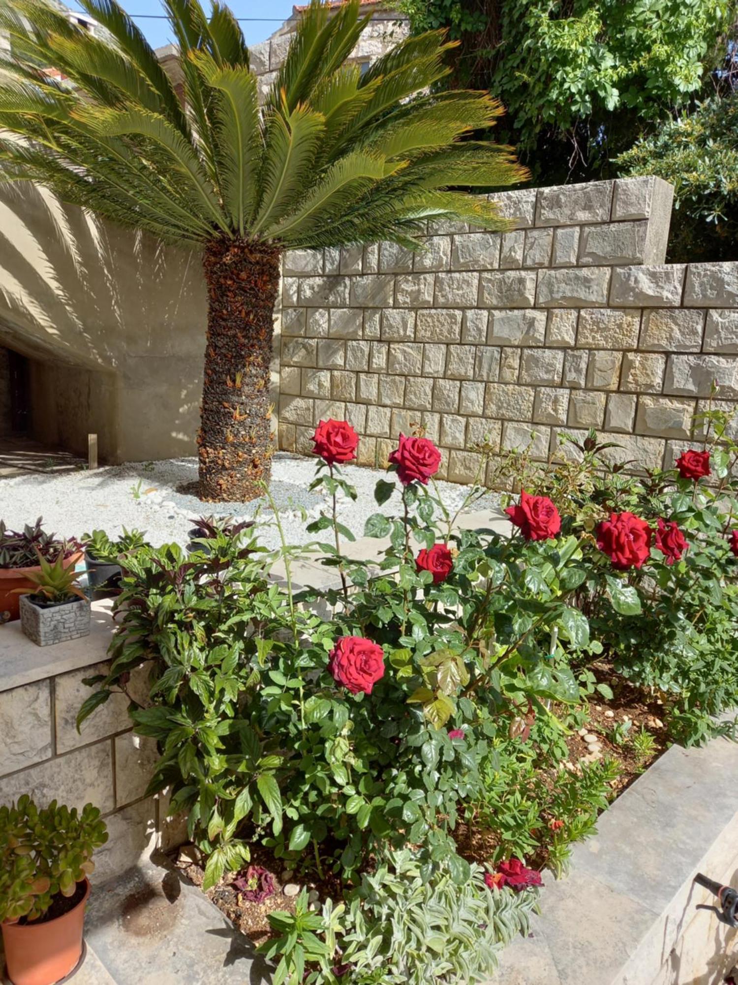 Rooms Radic Dubrovnik Exterior foto